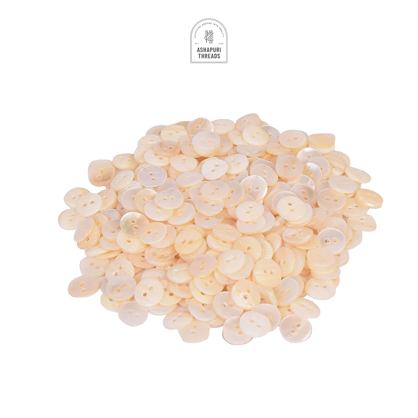 Cream Sea Shell Buttons