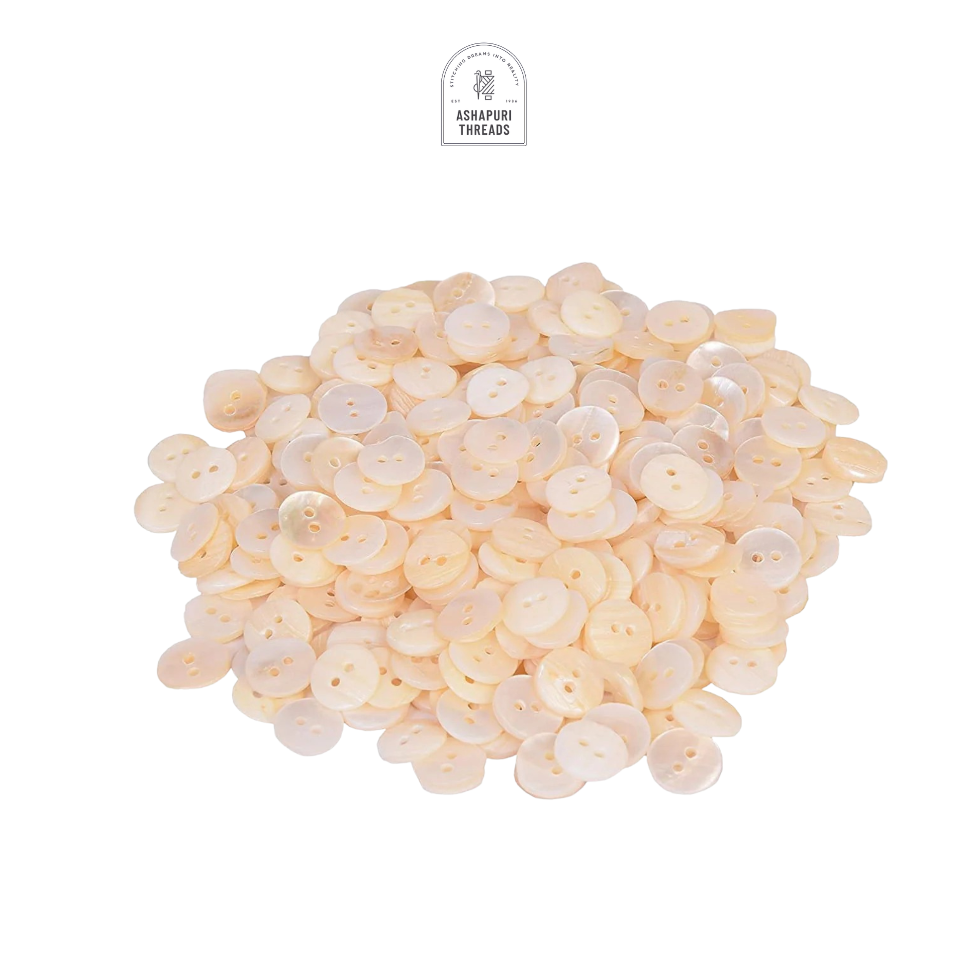 Cream Sea Shell Buttons